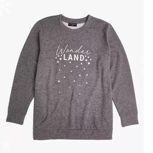 CLASSIC LONG SLEEVE WONDER LAND GRAPHIC GRAY SWEATSHIRT